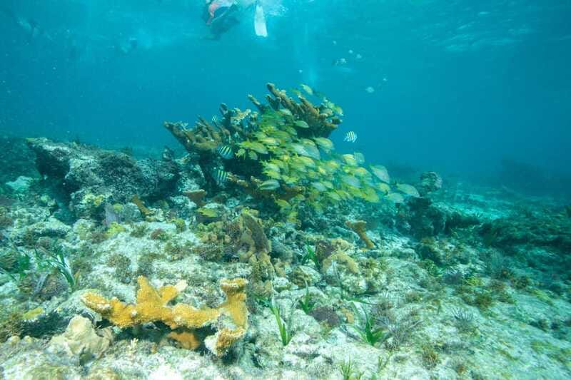 Isla Mujeres: Full Day Private Catamaran with Snorkeling - Downtown Isla Mujeres by foot or golf cart