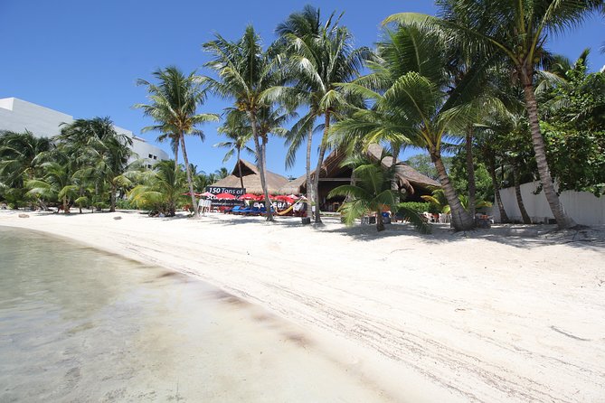 Isla Mujeres luxury catamaran with premium open bar and lunch - Free time in downtown Isla Mujeres