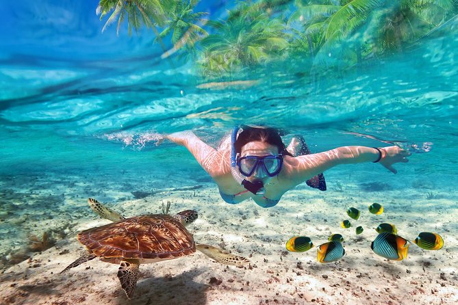 Isla Mujeres tour in a Catamaran with snorkel, open bar, lunch - The catamaran ride across the Caribbean