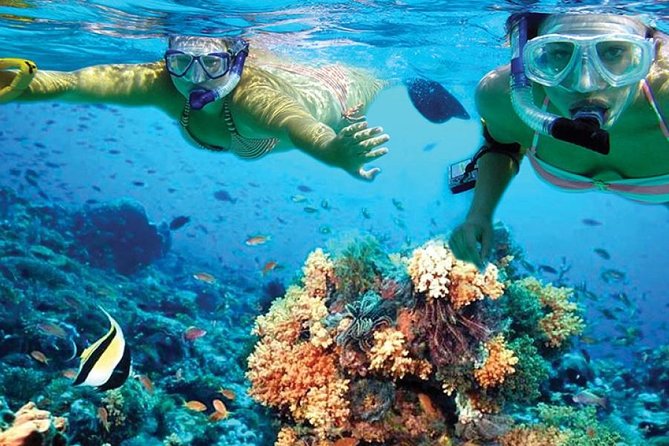 Isla Mujeres tour in a Catamaran with snorkel, open bar, lunch - Snorkeling at the reef