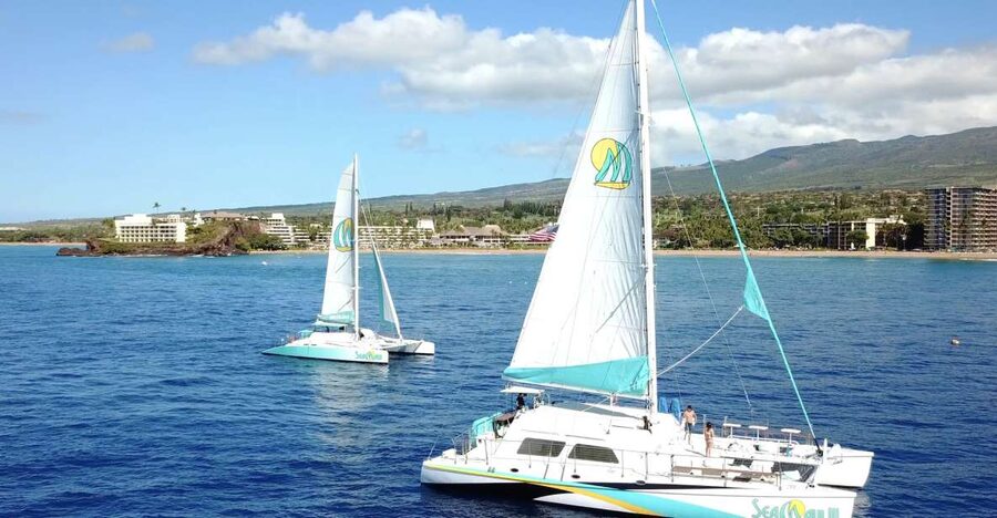 Kaanapali: Sunset Dinner Catamaran Cruise With Drinks - Practical tips for a smoother evening