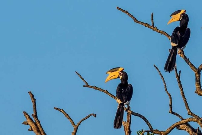Kalametiya Bird Sanctuary Catamaran Bird Watching Tour - Is $55 a fair price?