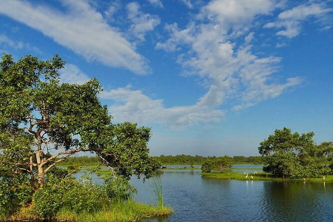 Kalametiya Bird Sanctuary Catamaran Bird Watching Tour - The first view of the sanctuary
