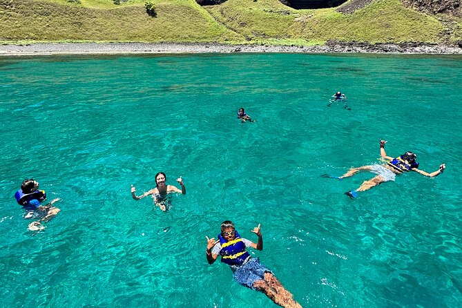 Kauai: Na Pali Coast Power Catamaran - Dolphins, whales, turtles, and the luck of the day