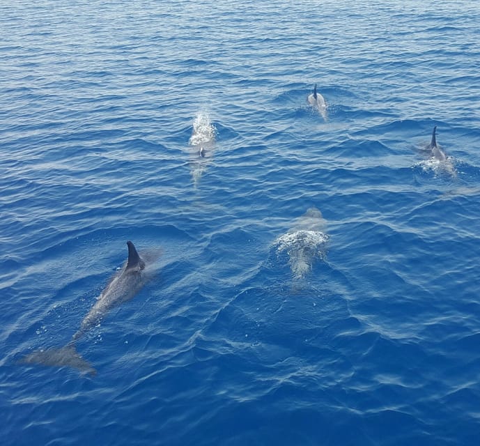 Key West: Afternoon Catamaran Sail and Dolphin Watch - Drinks, deck time, and the onboard mood