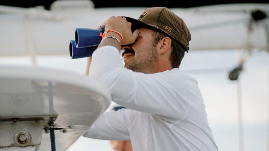 Key West: Afternoon Catamaran Sail and Dolphin Watch - What recent scores tell you