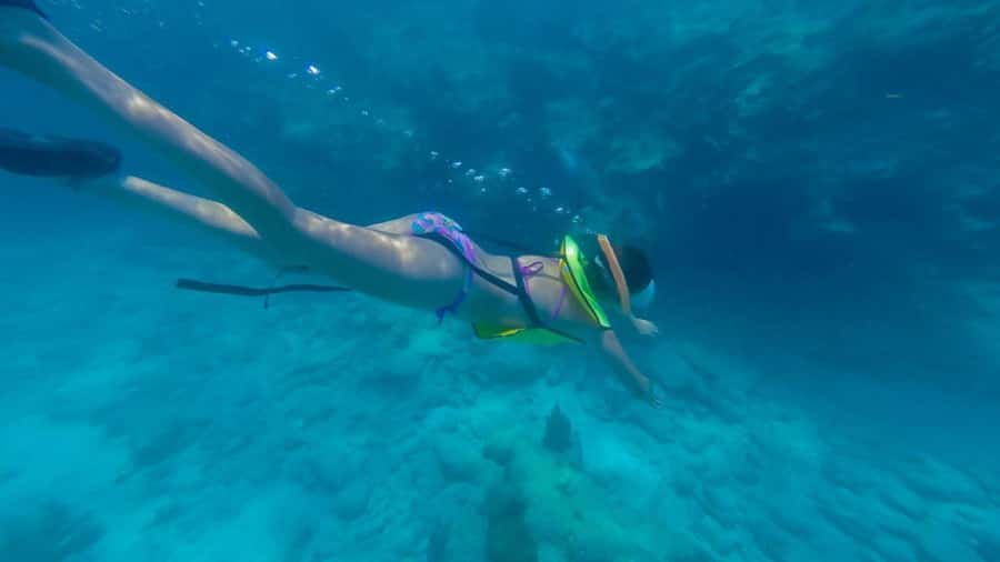 Key West: Catamaran Snorkel with Seafood Boil and Open Bar - Key points at a glance