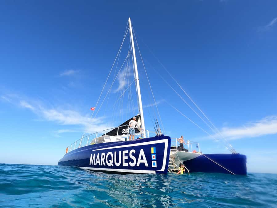 Key West: Catamaran Snorkel with Seafood Boil and Open Bar - From Historic Seaport to open water