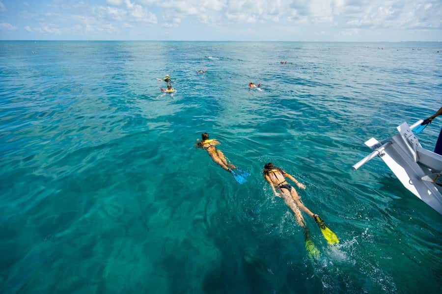 Key West: Catamaran Snorkel with Seafood Boil and Open Bar - What to pack for four hours