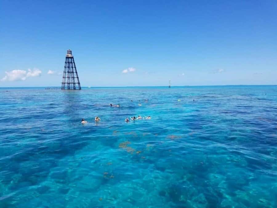 Key West: Catamaran Snorkel with Seafood Boil and Open Bar - Two snorkeling stops near Key West