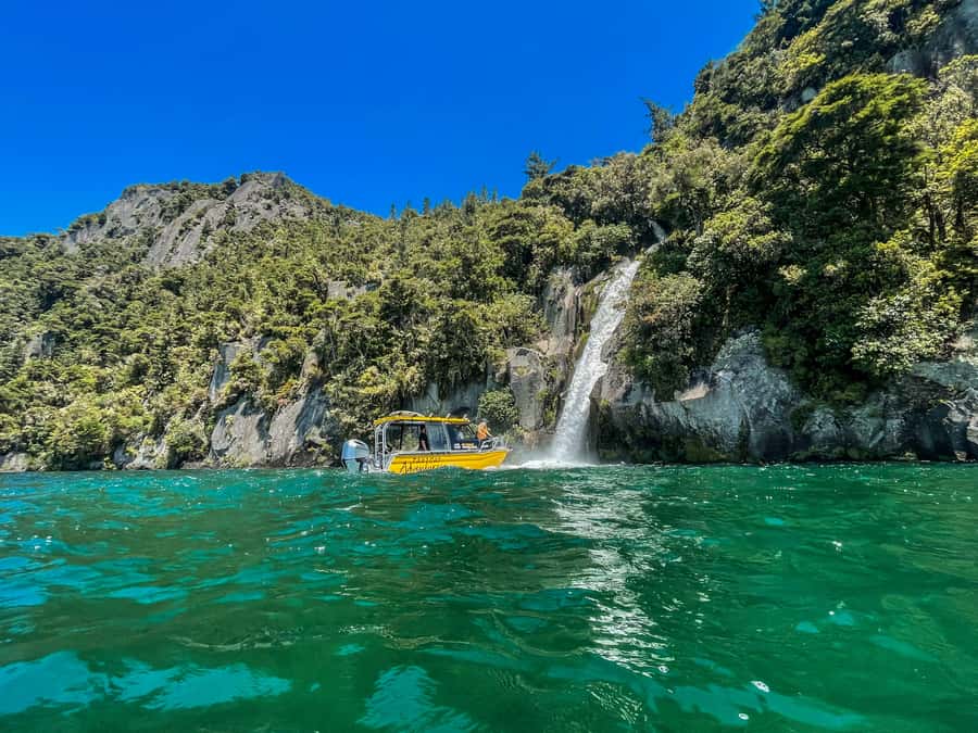 Kinloch: Lake Taupo Catamaran Cruise with Paddleboarding - Five things to know before you book
