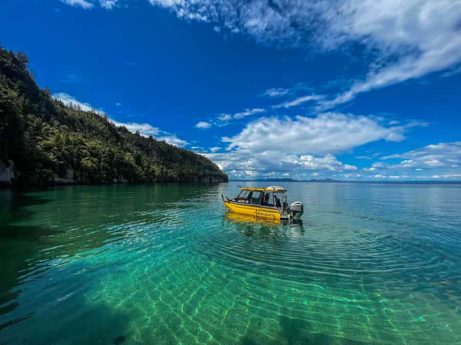 Kinloch: Lake Taupo Catamaran Cruise with Paddleboarding - The Western Bays: Lake Taupo away from the main routes