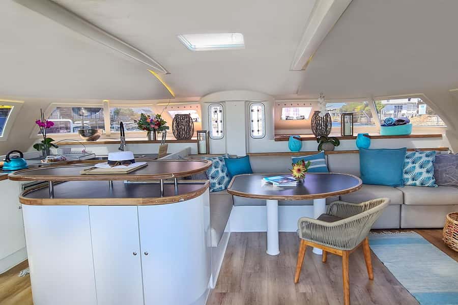 Knysna: Luxury Catamaran Marine Adventure Tour - Should you book the Knysna catamaran cruise?