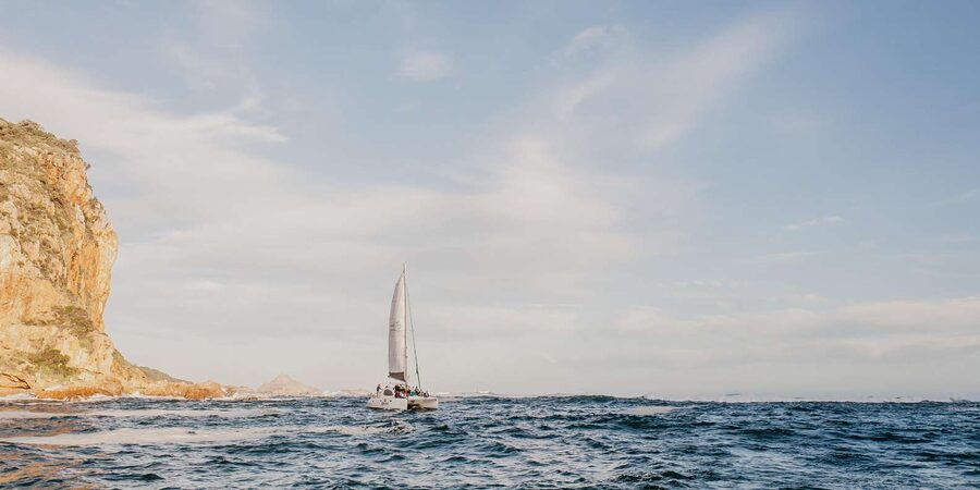 Knysna: Luxury Catamaran Marine Adventure Tour - Bubbly, snacks, and the luxury factor