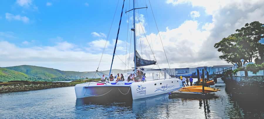 Knysna: Luxury Catamaran Marine Adventure Tour - What to bring for a comfortable sail