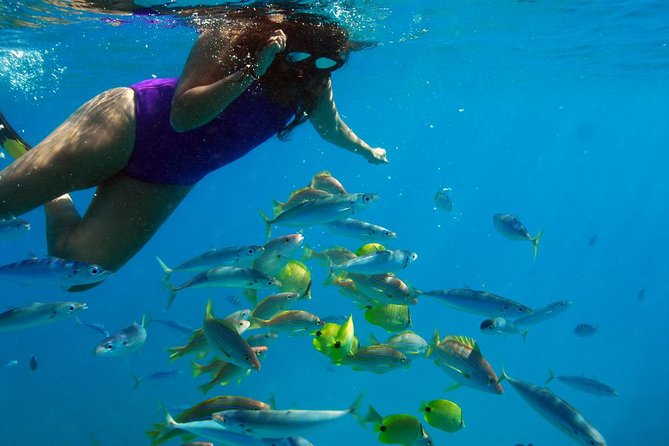 Ko Olina Catamaran Sail and Snorkel with Lunch - Snorkeling among fish and turtles