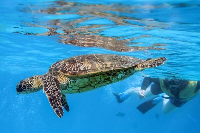 Ko Olina Catamaran Sail and Snorkel with Lunch - Is $195 a fair price?