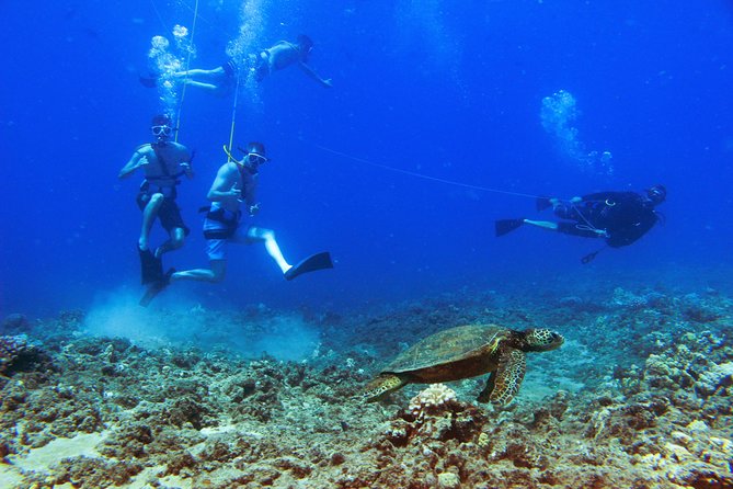 Ko Olina Catamaran Sail and Snorkel with Lunch - What could go wrong?