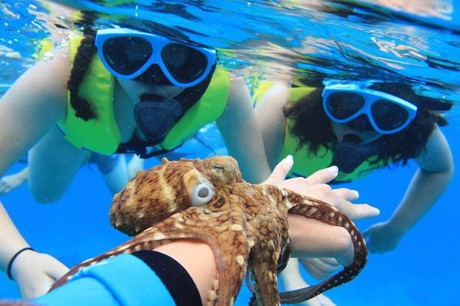 Ko Olina Catamaran Sail and Snorkel with Lunch - The Ko Olina coast provides the scenic ride