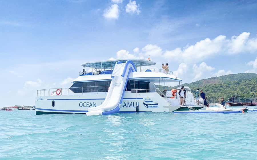 Koh Samui: Koh Tan and Koh Madsum Half-Day Tour by Catamaran - Koh Madsum and its famously friendly pigs