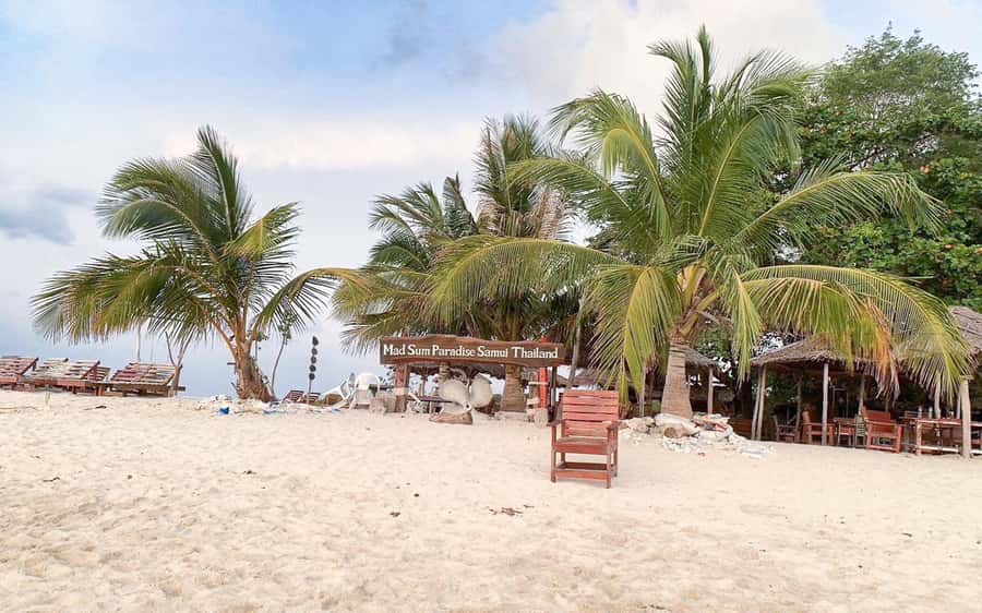 Koh Samui: Koh Tan and Koh Madsum Half-Day Tour by Catamaran - FAQ