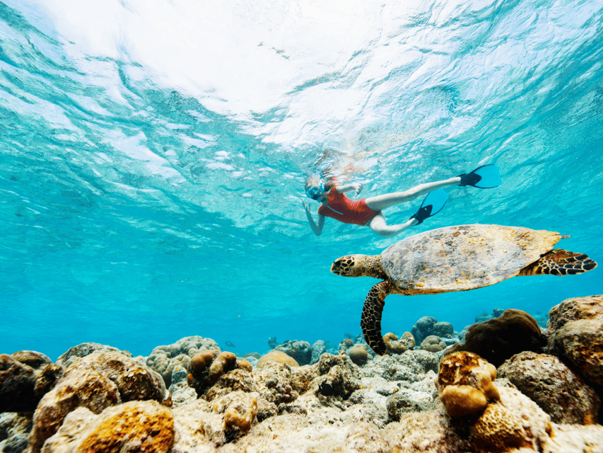 Koh Samui: Koh Tao and Nangyuan Snorkeling Tour by Catamaran - The guides can make or break the day