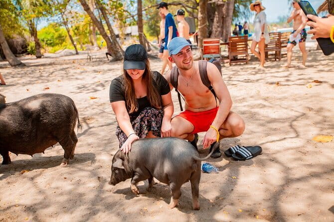 Koh Tan and Pig Island Half-Day Tour by Speed Catamaran - Key points at a glance