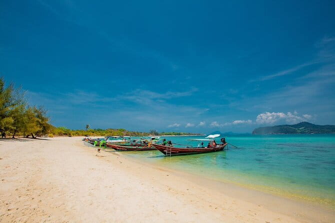 Koh Tan and Pig Island Half-Day Tour by Speed Catamaran - Food, drinks, and what is included