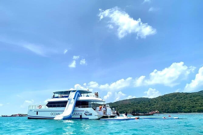 Koh Tan and Pig Island Half-Day Tour by Speed Catamaran - Pig Island: cute pigs and messy reality