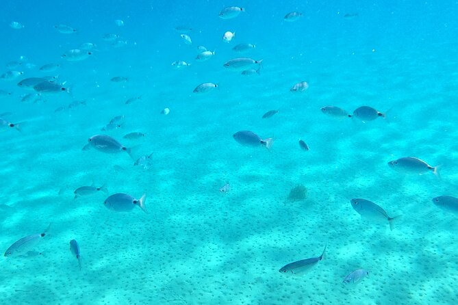 Kos: Catamaran Small Group Full-Day trip with Meal, Drinks, Swim - What the small group changes