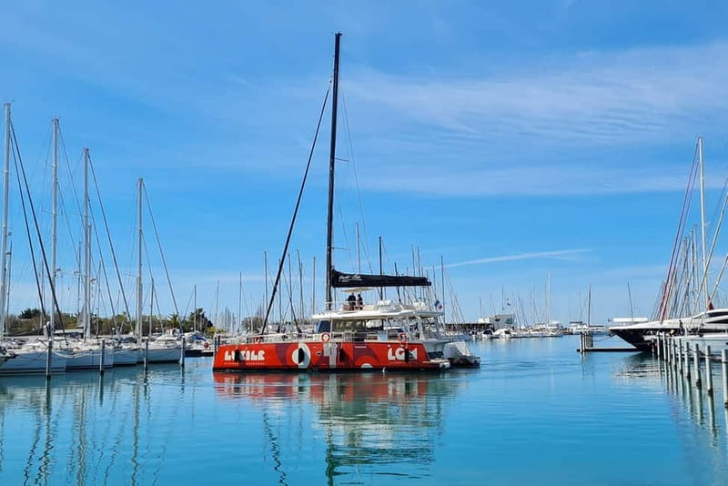 La Grande Motte: Le Grau-du-Roi Bay Catamaran Cruise - A slow look at the Camargue coast