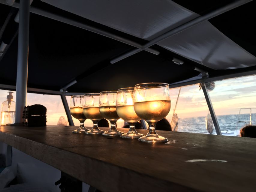 La Rochelle: Catamaran Cruise - Key points to know before sailing