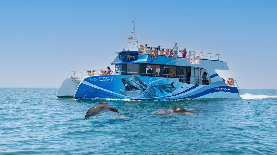 Lagos: Dolphins & Caves - Catamaran - Key things to know before you book