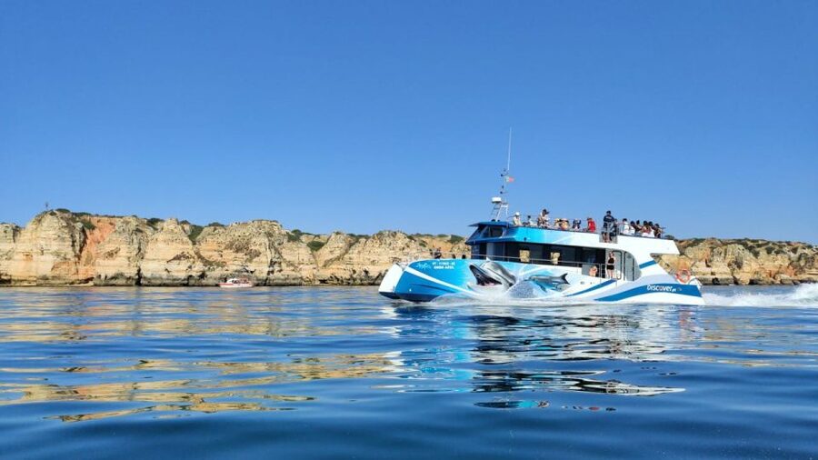Lagos: Dolphins & Caves - Catamaran - Marine biology without a classroom