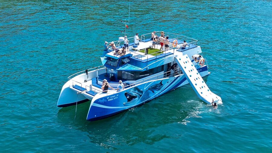 Lagos: Dolphins & Caves - Catamaran - Booking, cancellation, and timing details