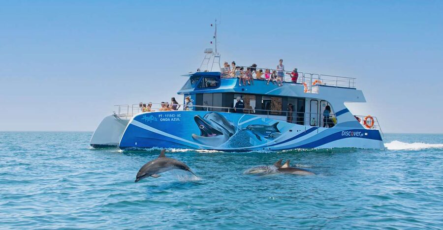 Lagos: Dolphins & Caves - Catamaran - Searching for dolphins in their natural habitat