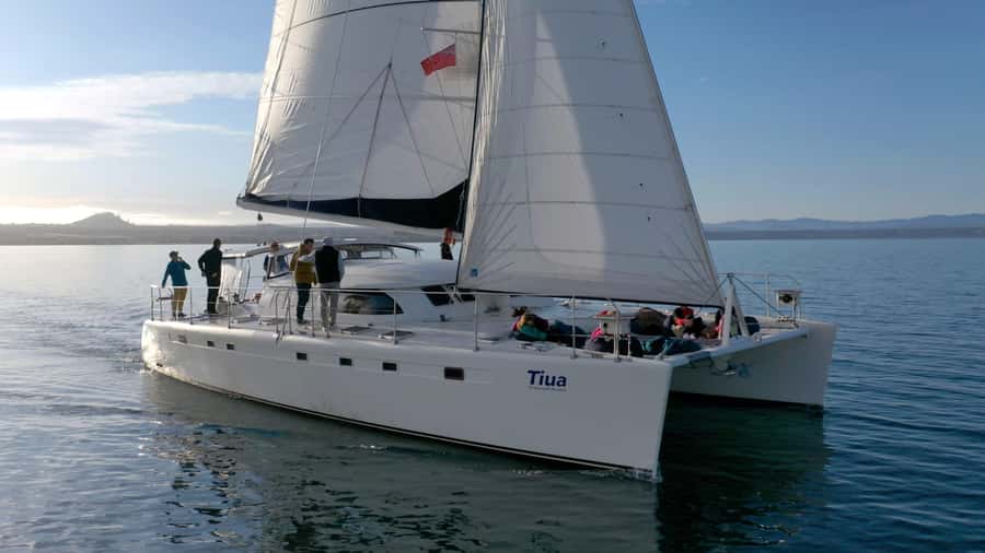 Lake Taupo: Luxury Sailing Catamaran to Māori Rock Carvings - The Ride Across Great Lake Taupō