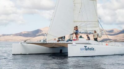 Whale and Dolphin Watching Eco-Friendly Catamaran