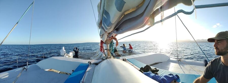 Lanzarote: Whale and Dolphin Watching Eco-Friendly Catamaran - Hearing whales and dolphins through the hydrophone