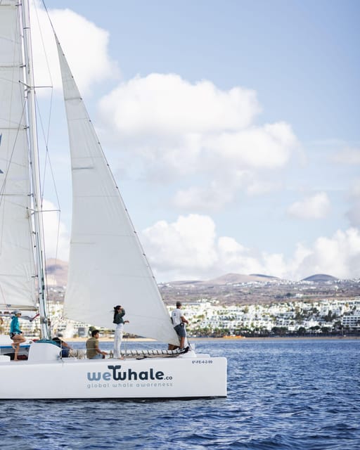 Lanzarote: Whale and Dolphin Watching Eco-Friendly Catamaran - Why the electric boat matters to the experience