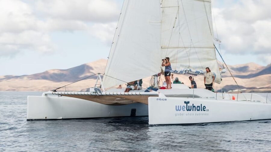 Lanzarote: Whale and Dolphin Watching Eco-Friendly Catamaran - Four hours searching Lanzarote’s Atlantic waters