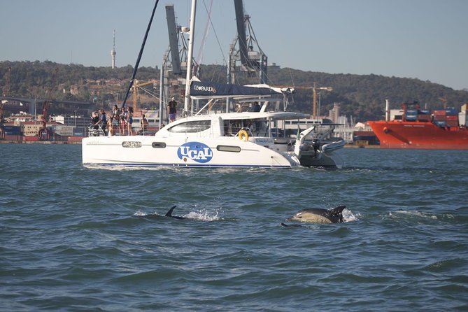 Lisbon: Sunset Cruise With Drinks on Spacious Yacht - Under the 25 de Abril Bridge