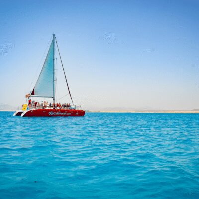 Lobos Island: 4-Hour Catamaran Trip with Lunch