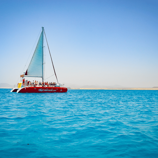 Lobos Island: 4-Hour Catamaran Trip with Lunch - Reaching Lobos and choosing your pace
