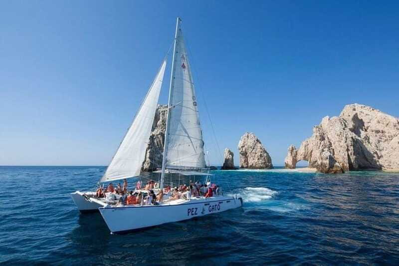 Los Cabos: Catamaran Whale Watching Cruise - Who should book this experience?