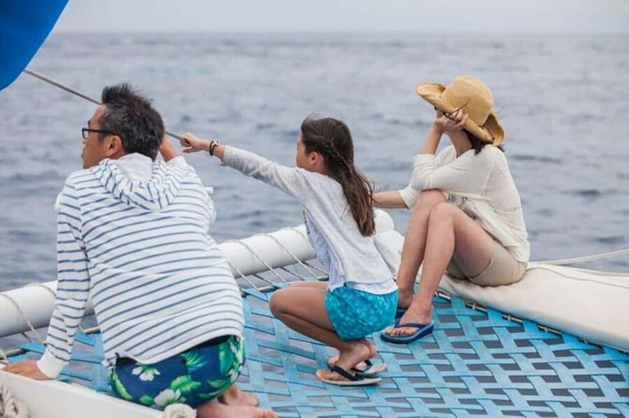 Los Cabos: Catamaran Whale Watching Cruise - Practical tips for a better day