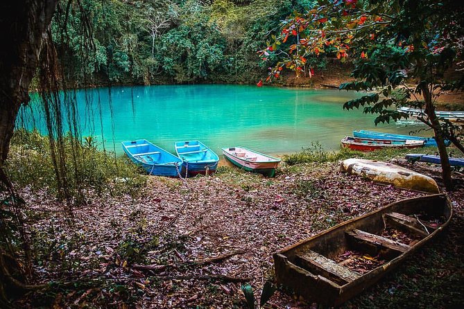 Los Haitises & Cayo Levantado (Lunch included, from Samana in Catamaran or Boat) - Quick points before you book