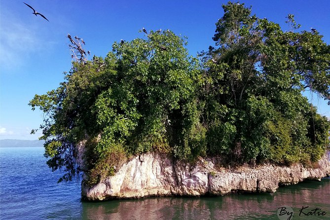 Los Haitises & Cayo Levantado (Lunch included, from Samana in Catamaran or Boat) - Starting from Samaná and crossing the bay