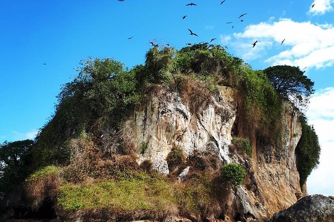 Los Haitises & Cayo Levantado (Lunch included, from Samana in Catamaran or Boat) - Lunch, included costs, and the $68.93 price