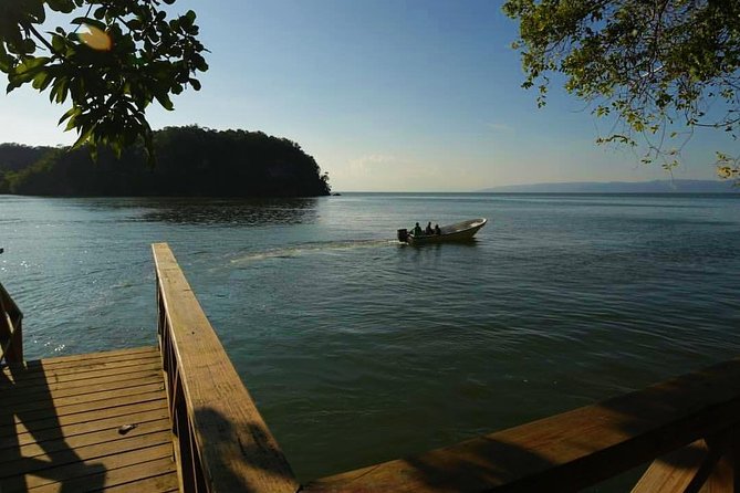 Los Haitises & Cayo Levantado (Lunch included, from Samana in Catamaran or Boat) - Who will enjoy this boat tour most